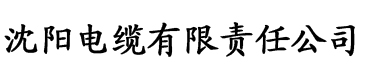 九色红桃影视电缆厂logo